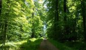 Trail Walking Richemont - La Bienfaisance (N°11) - Richemont - Photo 3