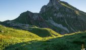 Trail Walking Mieussy - La Pointe de Chalune 2116 m, par le Col de Vésinaz - Photo 1