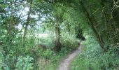 Trail Walking Morbecque - Sentier des 3 bois (11,5 Km) - Morbecque  - Photo 4