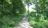 Trail Walking Morbecque - Le sentier de mémoire - Morbecque - Photo 5