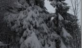 Percorso Racchette da neve Saint-Maurice-sur-Moselle - Ballon d''Alsace - St Maurice sur Moselle - Photo 2