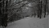 Percorso Racchette da neve Saint-Maurice-sur-Moselle - Ballon d''Alsace - St Maurice sur Moselle - Photo 1