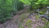 Tocht Mountainbike Valprivas - L''Aigue Blanche - Chanteloube - Photo 2