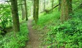 Tour Mountainbike Boën-sur-Lignon - Randonnée VTT du Pays d''Astrée (2013-VTT-55km) - Boën-sur-Lignon - Photo 2