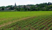 Randonnée Marche Balbigny - Autour des Gorges de la Loire - GR de Pays N° 2 : Les Chambons au fil de l''eau - Balbigny - Photo 5