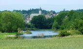 Randonnée Marche Balbigny - Autour des Gorges de la Loire - GR de Pays N° 2 : Les Chambons au fil de l''eau - Balbigny - Photo 2