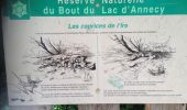 Randonnée Marche Doussard - Réserve naturelle du bout du Lac - Photo 2