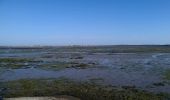 Excursión Bici de montaña Noirmoutier-en-l'Île - Le gois - Photo 13