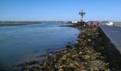 Tocht Mountainbike Noirmoutier-en-l'Île - Le gois - Photo 10