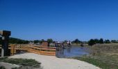 Tocht Mountainbike Noirmoutier-en-l'Île - Le gois - Photo 6