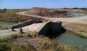 Trail Mountain bike Noirmoutier-en-l'Île - Le gois - Photo 1