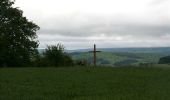 Tocht Stappen Rochefort - Wavreille - Het panorama van Griffalou - Photo 7