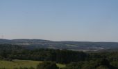 Tocht Stappen Rochefort - Wavreille - Het panorama van Griffalou - Photo 5