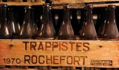 Tour Wandern Rochefort - Havrenne & de Saint-Remy Trappist Abbey - Photo 16