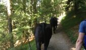Trail Walking Gemeinde Seefeld in Tirol - Mittenwald - Leutasch 210813 - Photo 9