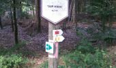 Trail Walking Hotton - Menil favay, vers marenne via Waha - Photo 8