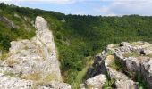 Randonnée Marche Houyet - De Gendron à Furfooz par le Parc National et les aiguilles de Chaleux - Photo 1