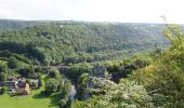 Tour Wandern Houyet - De Gendron à Furfooz par le Parc National et les aiguilles de Chaleux - Photo 2