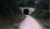 Trail Cycle Villemagne-l'Argentière - bedarieux. Mons la trivale par la voie verte allé retour - Photo 2