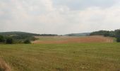 Trail Walking Rochefort - Walk along the river Lesse and through bucolic landscapes - Photo 7
