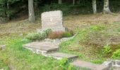 Tocht Stappen Moussey - tour par vierge stèle croix hermite - Photo 2