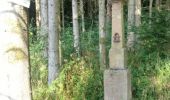Tocht Stappen Moussey - tour par vierge stèle croix hermite - Photo 1
