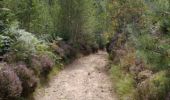 Trail Walking Theux - Jehanster/Suristert.Descente sur la Hoegne. - Photo 1
