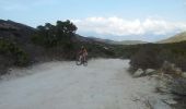 Trail Mountain bike Santo-Pietro-di-Tenda - agriate - Photo 13