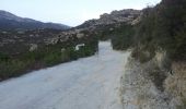 Trail Mountain bike Santo-Pietro-di-Tenda - agriate - Photo 10