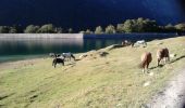 Trail Walking Laruns - Les lacs d'Ayour - Photo 3