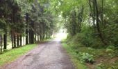 Trail Walking Lourdes - lac de lourdes en amoureux - Photo 4