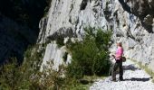 Trail Walking Etsaut - mature. - Photo 4