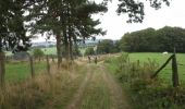 Trail Walking Lierneux - lierneux - Photo 2