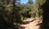 Tour Wandern La Londe-les-Maures - Domaine de gamary - Photo 3