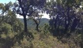 Excursión Senderismo La Londe-les-Maures - Domaine de gamary - Photo 2