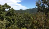 Trail Walking La Londe-les-Maures - Domaine de gamary - Photo 1