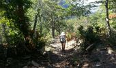 Trail Walking Laroque-des-Albères - Col-Ullat Pic-aureille_Terrain - Photo 2