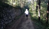 Trail Walking Moussoulens - Boucle de la Combe a la Biterelle  - Photo 11