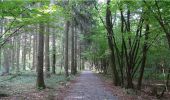 Trail Walking Chimay - De l'Auberge de Poteaupré à l'Abbaye N-D de Scourmont - Photo 2