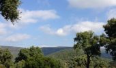 Tour Wandern Bormes-les-Mimosas - borme les mimosas - Photo 1