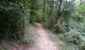 Trail Walking Saint-Donat-sur-l'Herbasse - le bois de Sizay - Photo 3