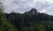 Tour Wandern Lützelstein - Imstahl la petite pierre - Photo 1