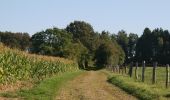 Trail Walking Beauraing - Vonêche & Froidfontaine - Roadbook discovering villages & landscapes - Photo 8