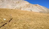 Trail Walking Uvernet-Fours - Mercantour Le Cimet 3020 m - Photo 8