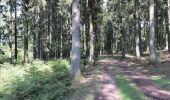 Trail Walking Florenville - Libaipire - Tombeau du Chevalier - 5 km - Départ : bois de Ste Cécile - Photo 11