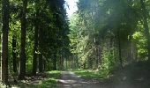 Trail Mountain bike Beauraing - Winenne - Nature: trip to the countryside - Photo 10