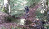 Trail Mountain bike Lostanges - Monts et vallées de Lostanges - Photo 2