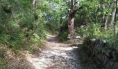 Excursión Senderismo Velleron - La Gde Vaussyère - Photo 2