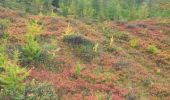 Tour Wandern Saint-Martin-Vésubie - Mont Archas en boucle - Photo 2