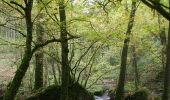 Trail Walking Houyet - Gendron trail - Lesse Valley Roadbook - Photo 10